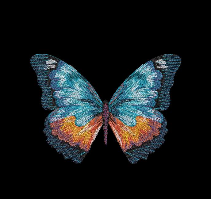 Vibrant Blue and Orange Butterfly Machine Embroidery Design